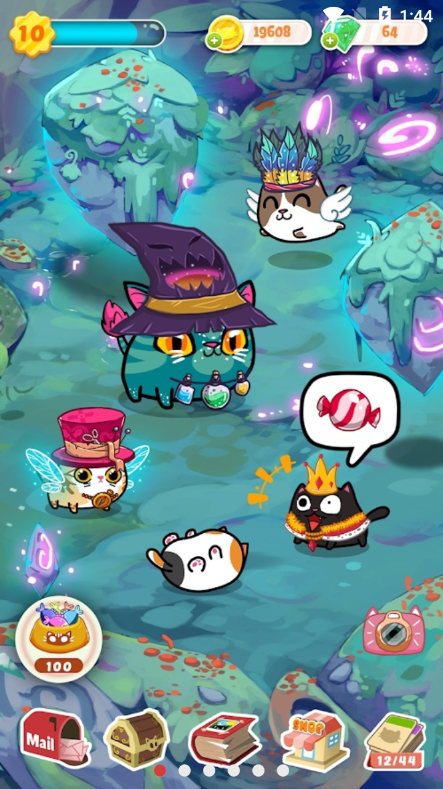 花样猫版图1
