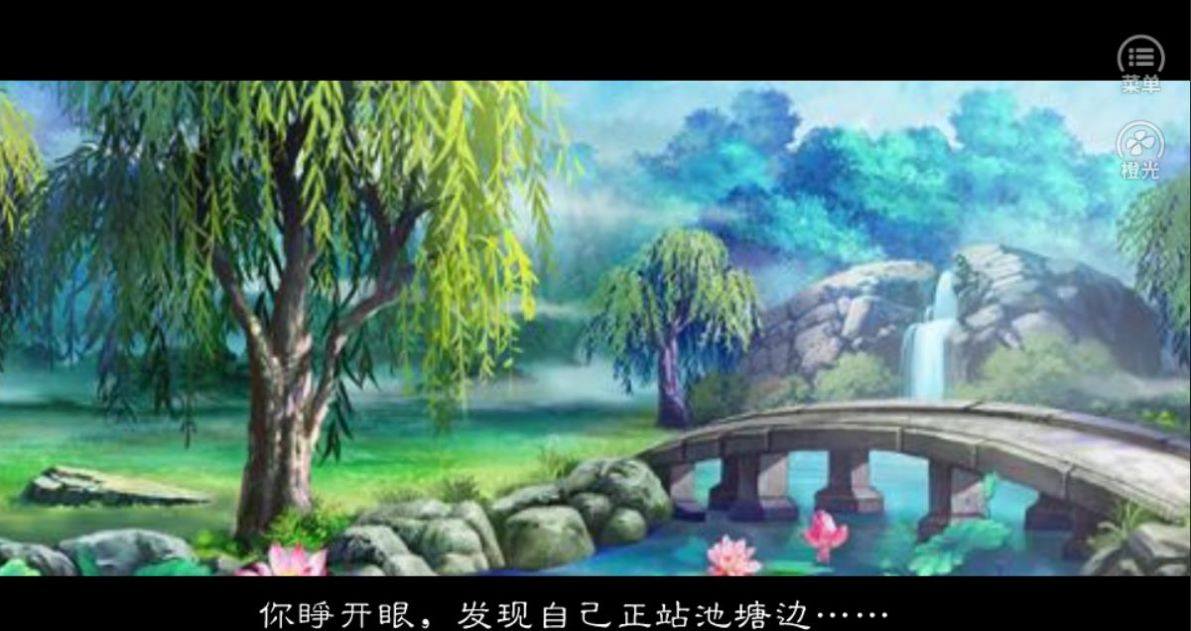 庶女的传奇人生版图1