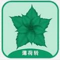 薄荷转app官方版