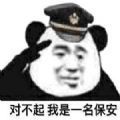 保安在哪里表情包