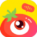 番茄派对app手机版