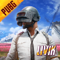 刺激战场国际服(pubg mobile)livik新地图官网版