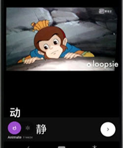 Loopsie中文app图片1