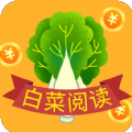 白菜阅读app手机版