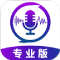 王者变声器专业版app官方下载