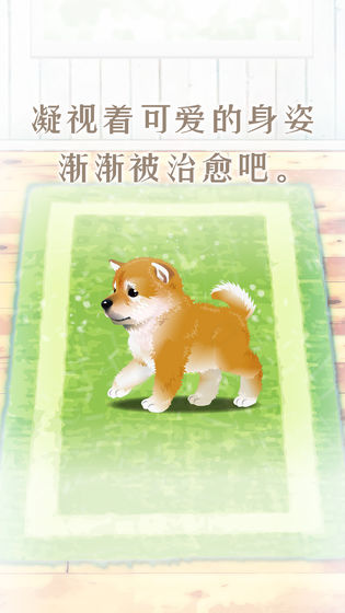 养育柴犬的治愈游戏图片1