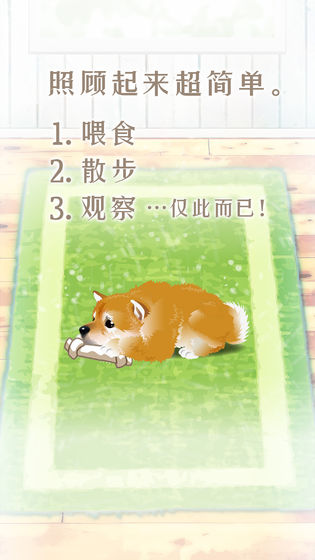 养育柴犬的治愈游戏图片2