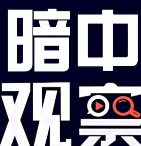 四川观察头像生成器图片1
