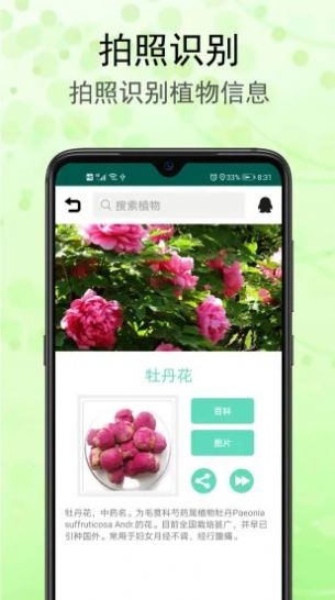 识花草app官方版图3