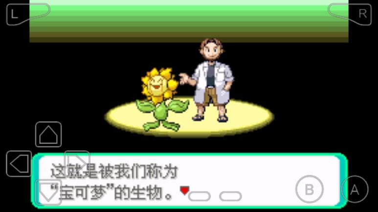 口袋妖怪绿宝石随机版游戏苹果手机版图3