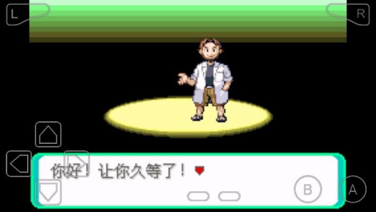 口袋妖怪绿宝石随机版游戏苹果手机版图2