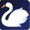 天鹅快讯app官网版