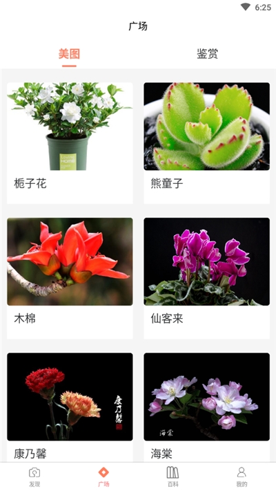 识花神器app图2