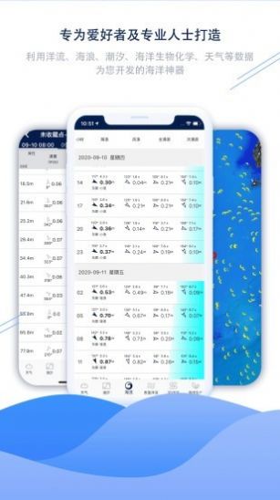 流浪潮汐app官方版图1