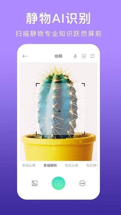 美术拍app最新版图1