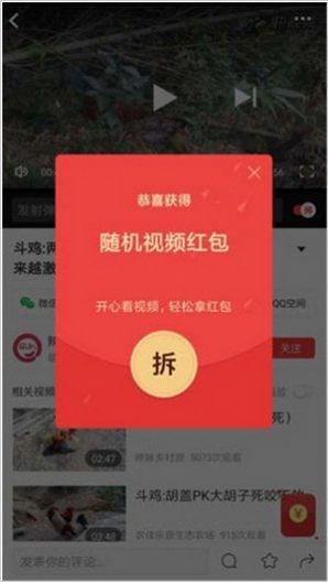 小黄蜂视频APP图片1