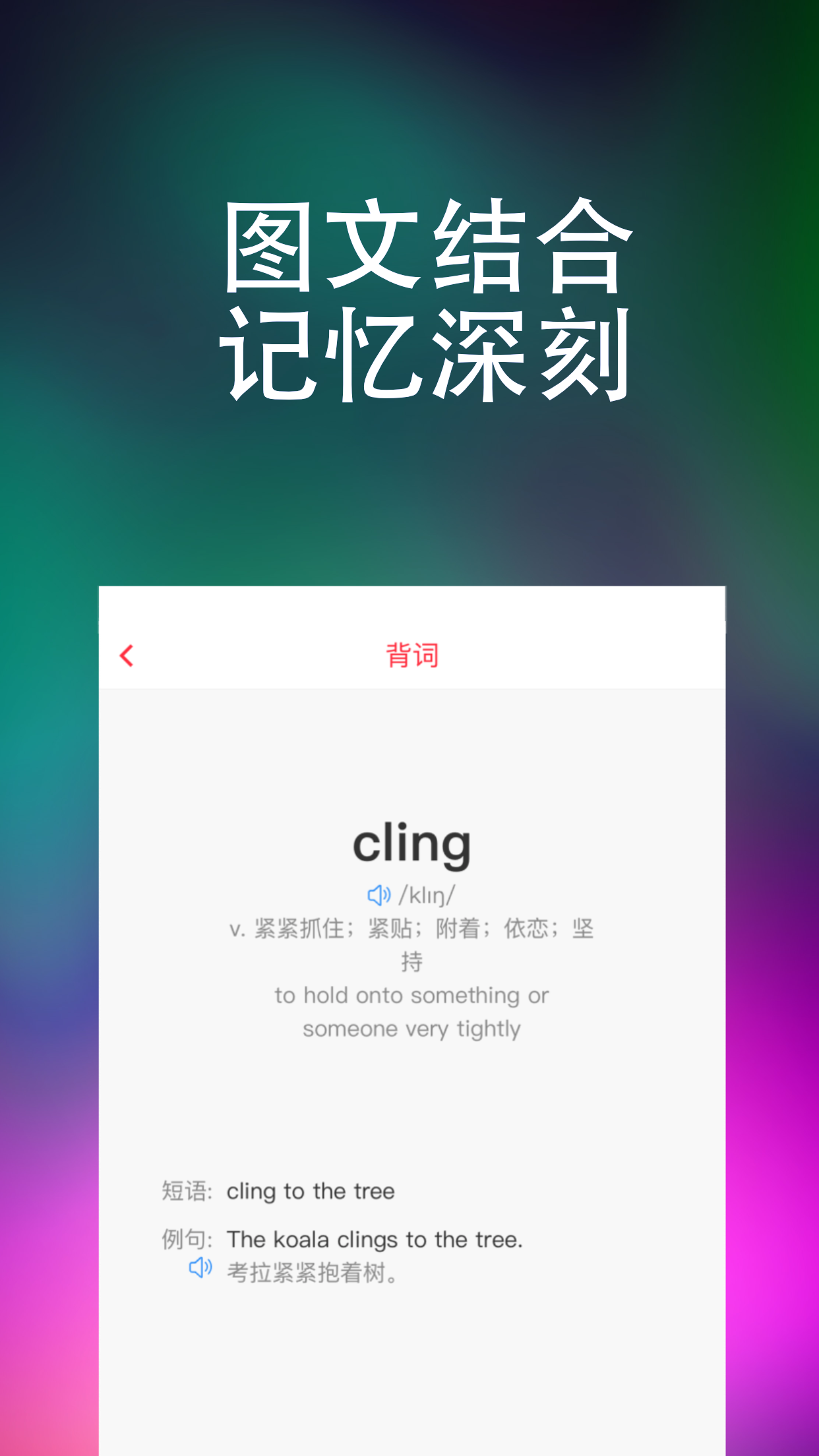 万词王app手机版图1