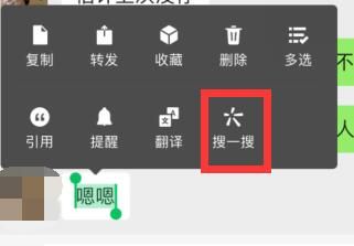 微信对话框搜一搜功能怎么用？对话框搜一搜功能在哪里？图片2