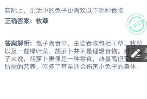 实际上生活中的小兔子更喜欢吃什么？图片2