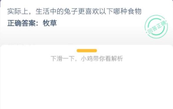实际上生活中的小兔子更喜欢吃什么？图片1