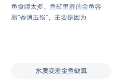 鱼食喂太多鱼为什么会撑死？鱼食喂太多蚂蚁庄园答案图片2