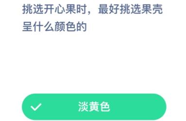 开心果最好挑什么颜色的？开心果白色好还是淡黄色好？图片1