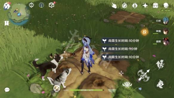 原神梦里生花怎么种花？原神梦里生花活动第一天玩法攻略介绍图片10