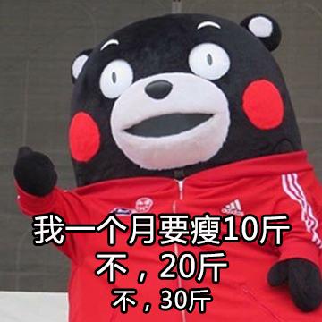 抖音超大表情包代码一览 抖音超大表情包熊猫头动态GIF分享图片7