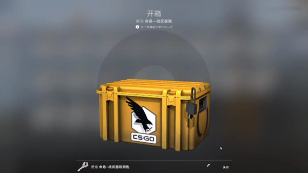 csgo裹脚银翼窟窿多少钱？裹脚银翼窟窿价格图片1