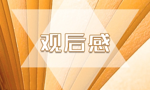 第一粒扣子冯丽清心得体会作文 第一粒扣子冯丽清观后感图片1