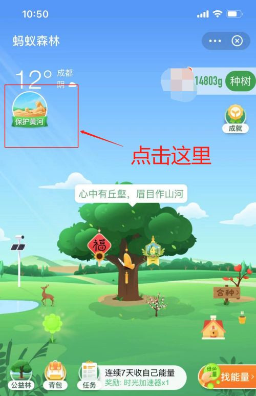 支付宝蚂蚁森林保护黄河活动怎么玩？蚂蚁森林保护黄河活动玩法介绍图片3