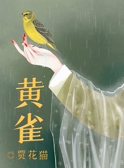 百变大侦探黄雀凶手是谁？黄雀剧本答案解析图片2