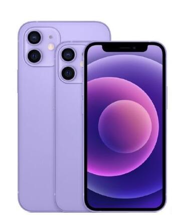 苹果12紫色多少钱？iphone12紫色多大尺寸图片4