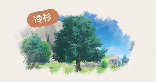 原神杉木在哪里？杉木采集路线一览图片3