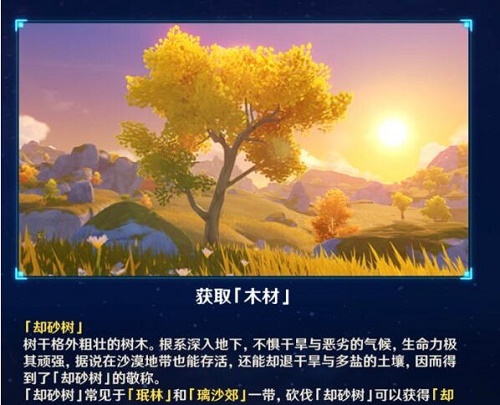 原神却砂木在哪？却砂木位置分布大全图片4