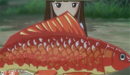 小森生活鲤鱼王饲料怎么获取？鲤鱼王任务攻略大全图片2