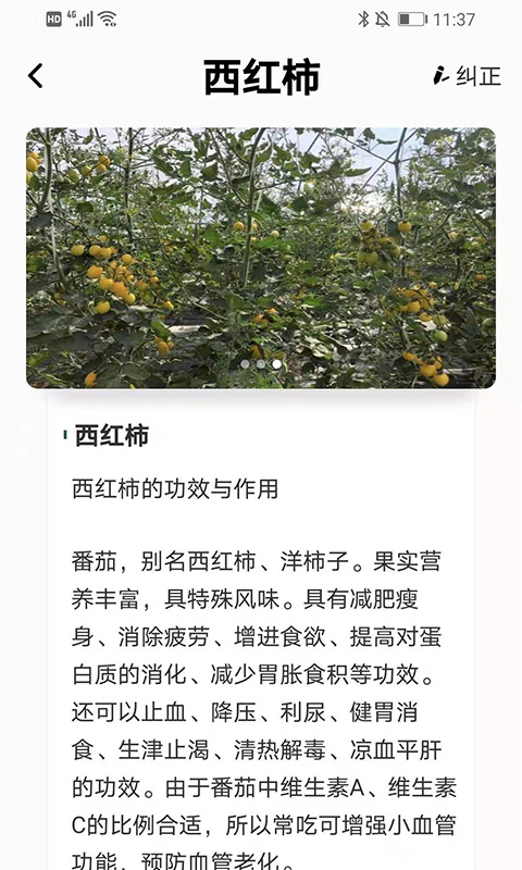 植物科普百科图2