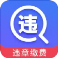 驾车违章查询app