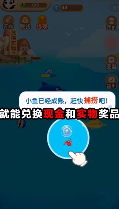 开心鱼塘红包版图3