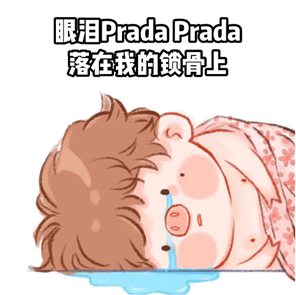 Prada的眼泪PradaPrada地掉表情包图片1