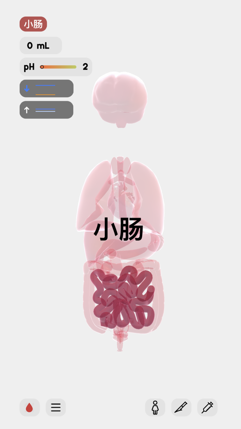 life生命模拟器汉化版图片3