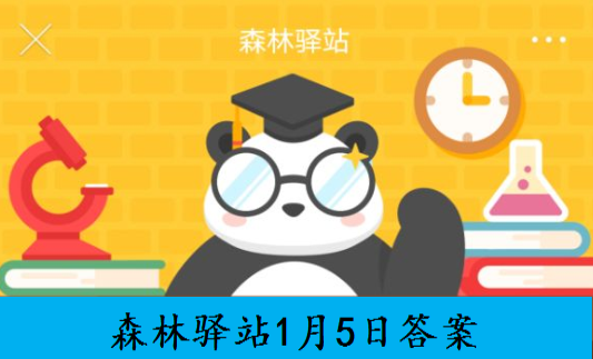 浣熊喜欢用双手感应物体，你知道是什么有效增强了手部感应能力吗？森林驿站1.5答案