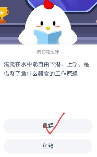 通常葡萄酒瓶身上标注的年份指的是？蚂蚁庄园11月11日答案最新图片3