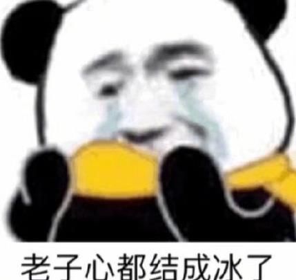 看完年度账单的我表情包 看完年度账单的我图片图片5