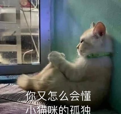 看完年度账单的我表情包 看完年度账单的我图片图片4