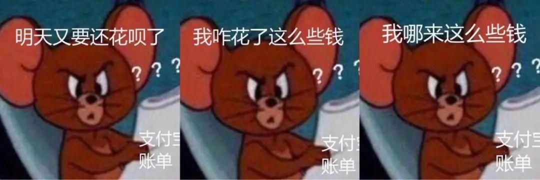 看完年度账单的我表情包 看完年度账单的我图片图片6