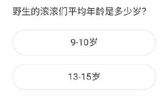 野生的滚滚们平均年龄是多少岁？森林驿站1月7日答案