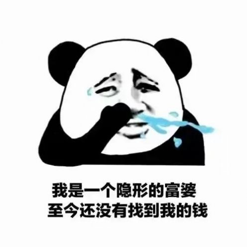 抖音我是一个隐形的富婆至今都没有找到自己的钱图片最新版图3