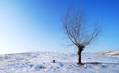 2021下雪抖音最火的句子 2021下雪朋友圈文案图片1