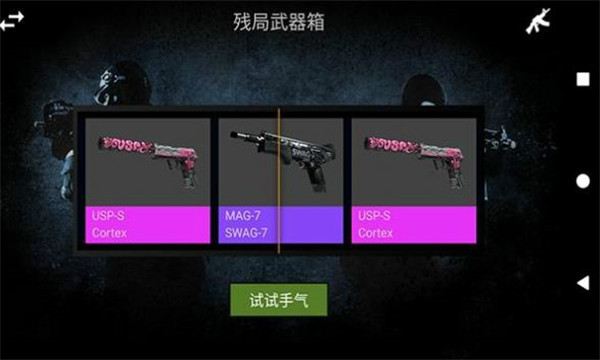 csgola开箱模拟器中文手机版图2